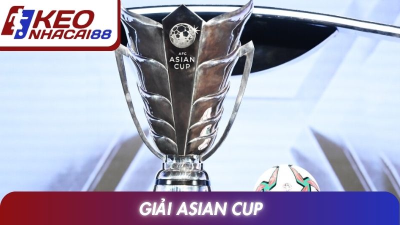 Giải Asian Cup Và Góc Nhìn Tổng Quan Về Bóng Đá Châu Á
