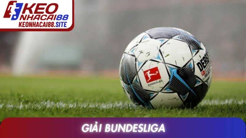 Giải Bundesliga - Sức Hút Và Giá Trị Vượt Thời Gian