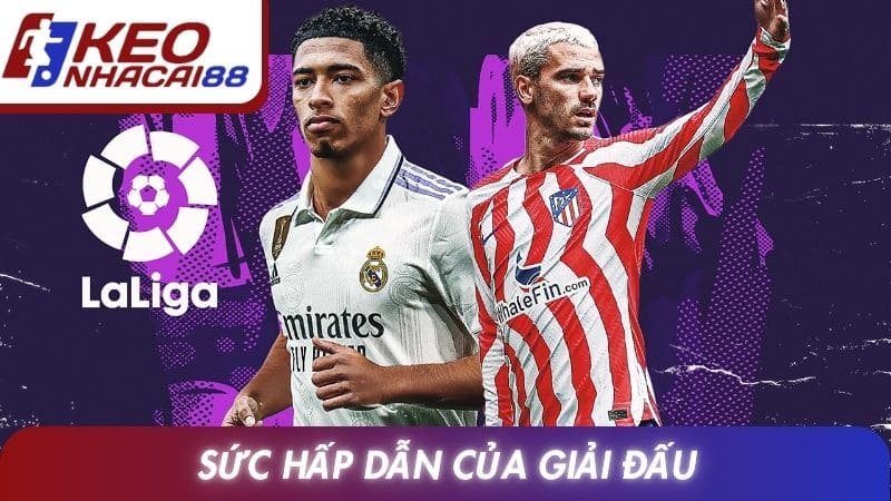 Sức hấp dẫn của giải đấu