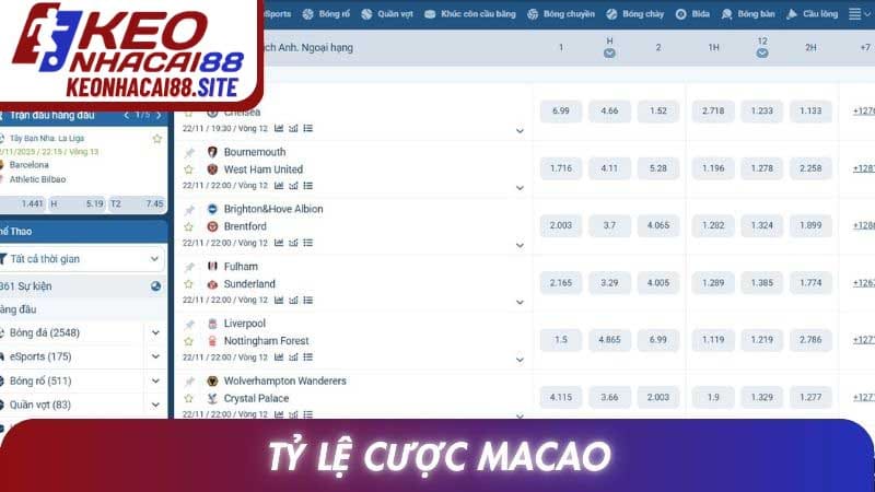 Tỷ Lệ Cược Macao: Cách Đọc Và Phân Tích Dữ Liệu Rõ Ràng